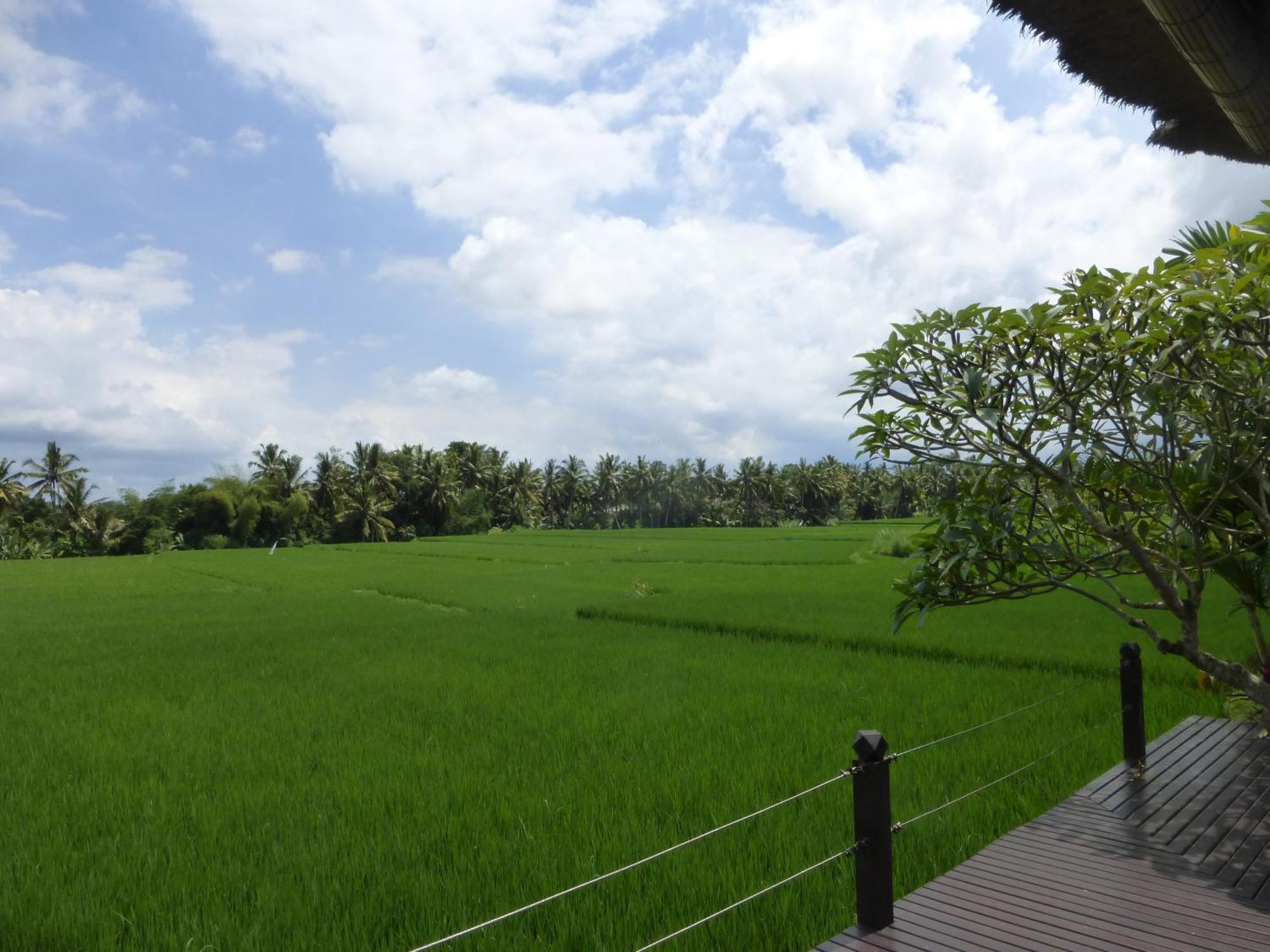 Bali Harmony Villa Ubud  Bilik gambar