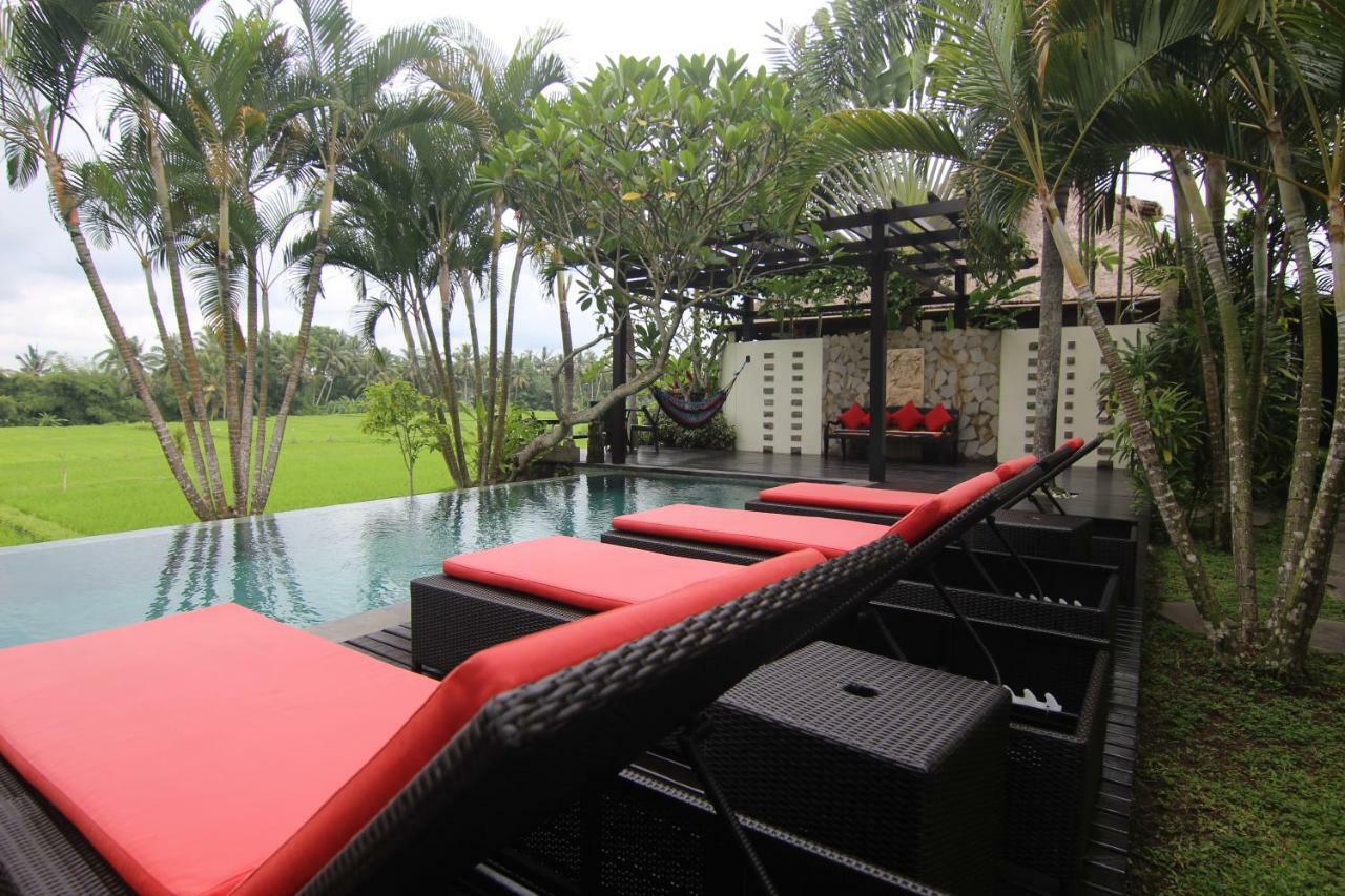 Bali Harmony Villa Ubud  Luaran gambar