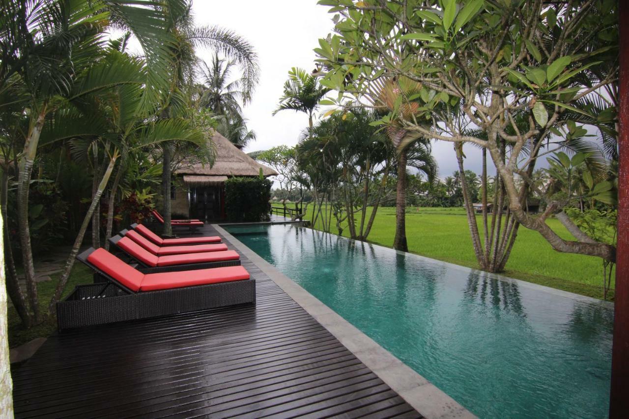 Bali Harmony Villa Ubud  Luaran gambar